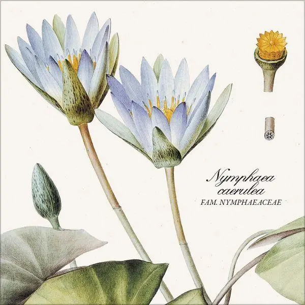 Bild: 9783819303975 | Botanicum 2027 | Verlag Korsch | Kalender | 13 S. | Deutsch | 2027