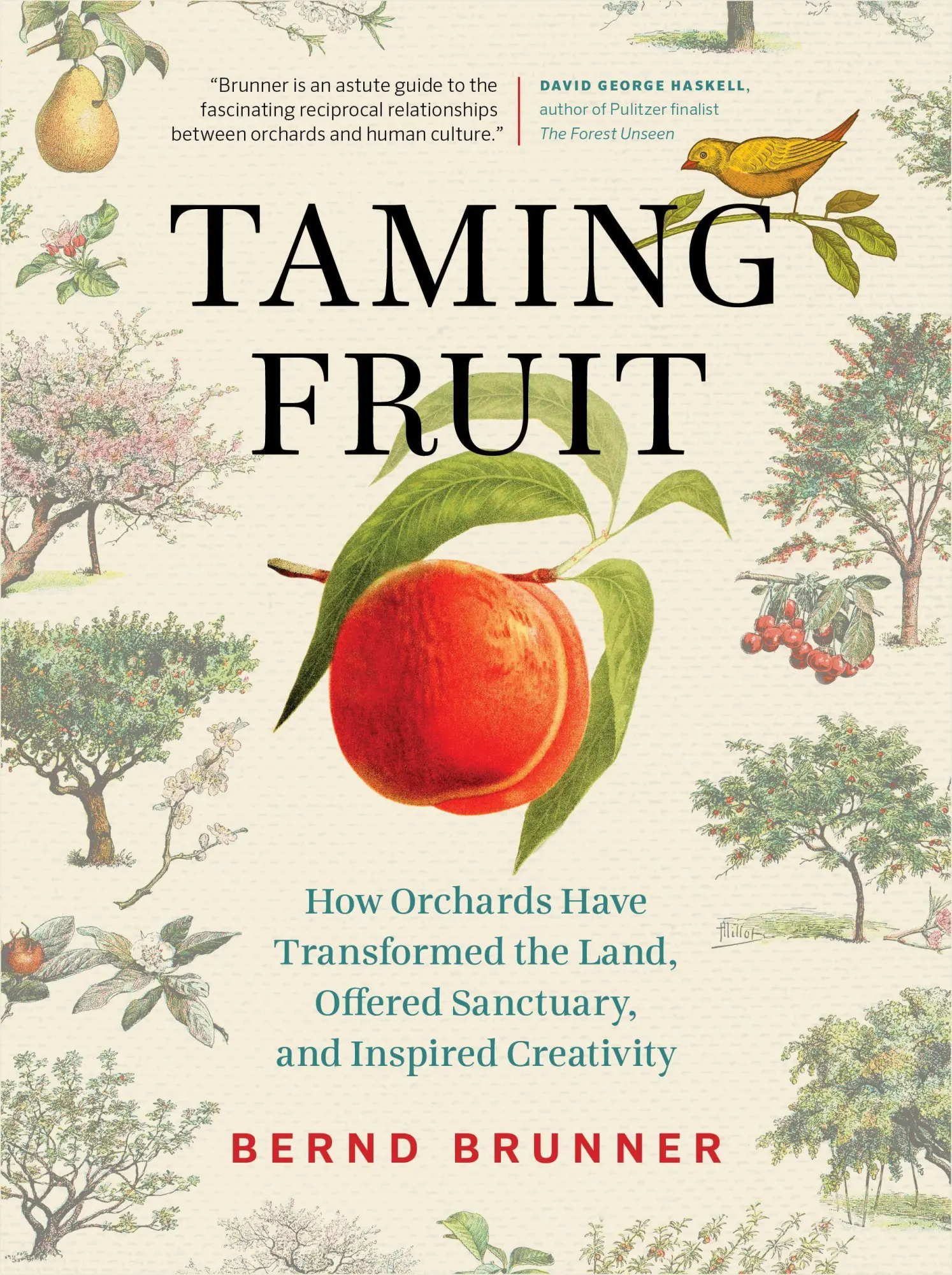 Cover: 9781771644075 | Taming Fruit | Bernd Brunner | Buch | Gebunden | Englisch | 2021