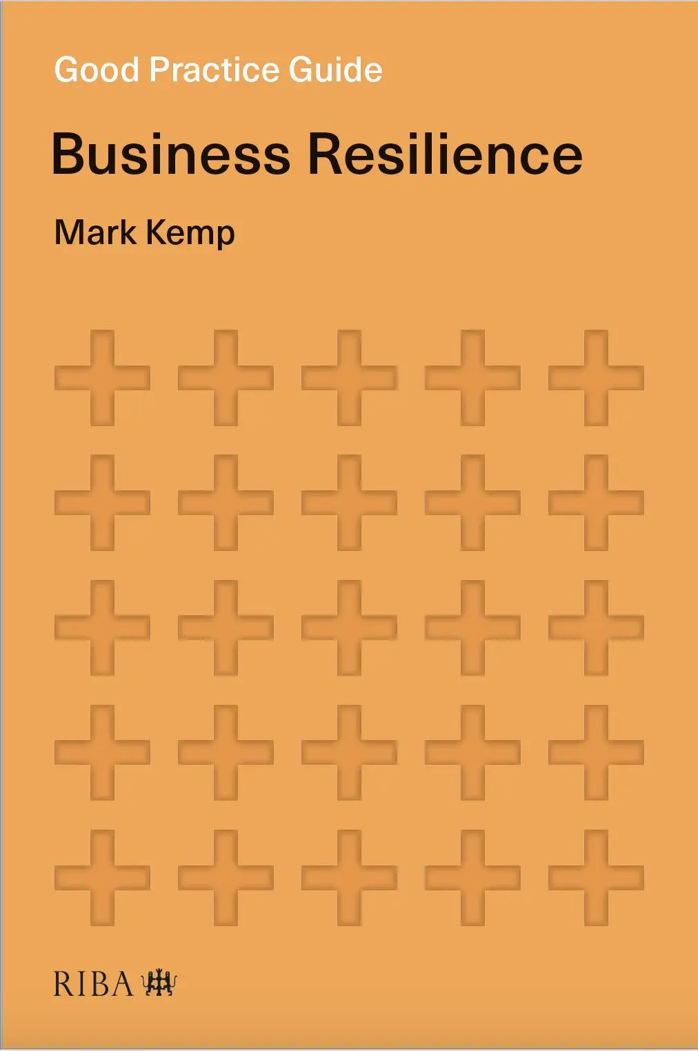 Cover: 9781914124075 | Good Practice Guide: Business Resilience | Mark Kemp | Taschenbuch