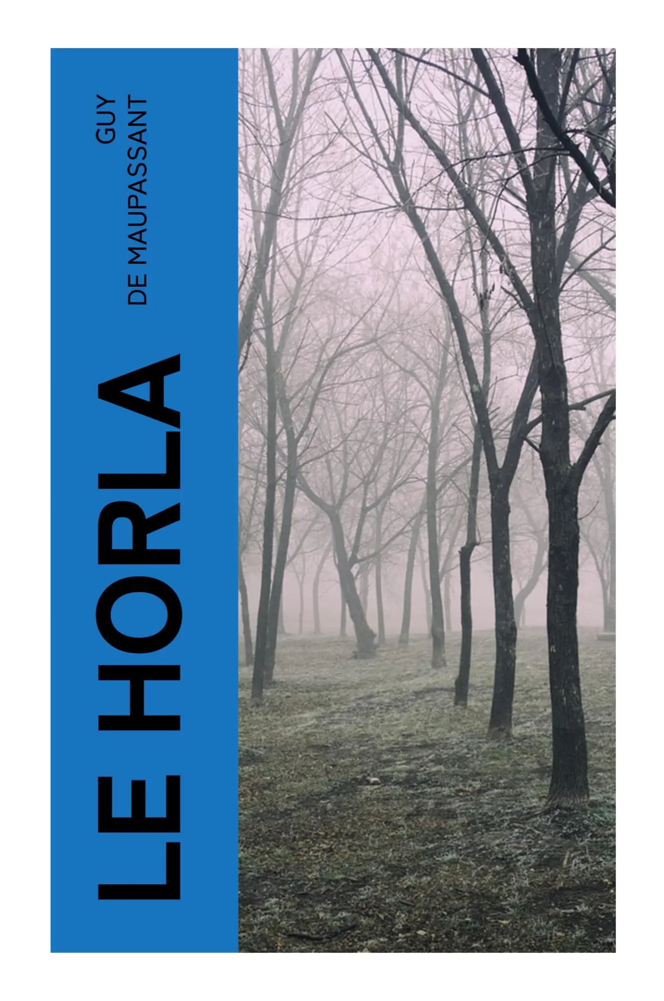 Cover: 9788027384075 | Le Horla | Guy de Maupassant | Taschenbuch | Französisch | 2023