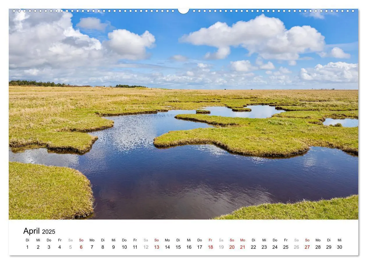 Bild: 9783383974175 | Schleswig-Holstein, ein Fest der Sinne (Wandkalender 2025 DIN A2...