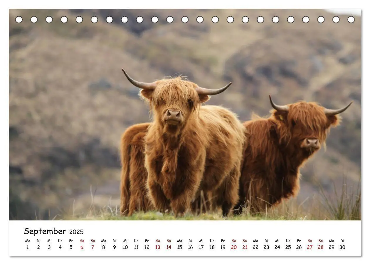 Bild: 9783435134175 | Schottland - Das Land mit rauem Charme (Tischkalender 2025 DIN A5...
