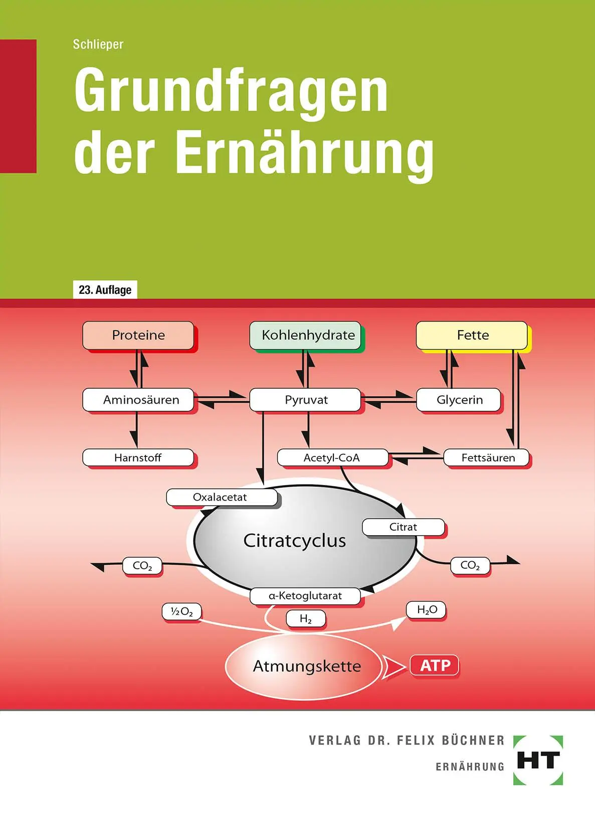 Cover: 9783582644275 | Grundfragen der Ernährung | Cornelia A. Schlieper | Buch | 531 S.
