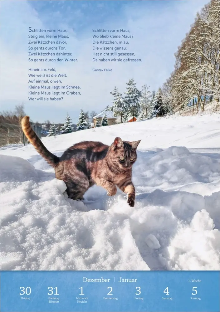 Bild: 9783840034275 | Literaturkalender Katzen Wochen-Kulturkalender 2025 | Kalender | 2025