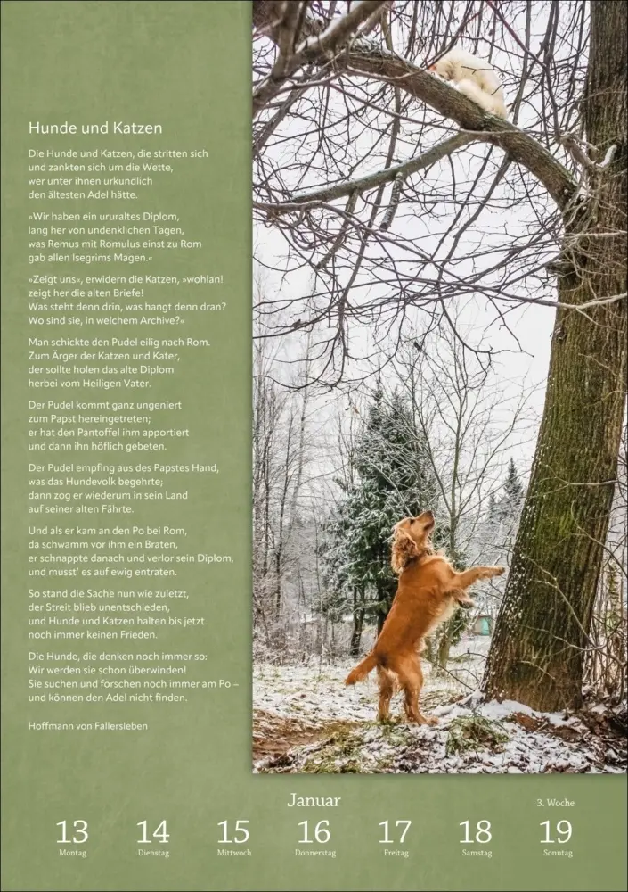 Bild: 9783840034275 | Literaturkalender Katzen Wochen-Kulturkalender 2025 | Kalender | 2025