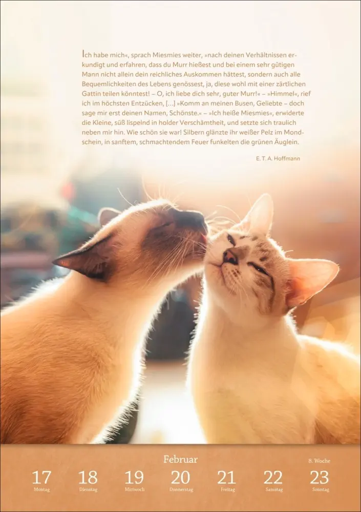 Bild: 9783840034275 | Literaturkalender Katzen Wochen-Kulturkalender 2025 | Kalender | 2025