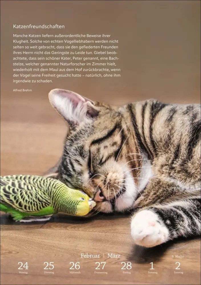 Bild: 9783840034275 | Literaturkalender Katzen Wochen-Kulturkalender 2025 | Kalender | 2025