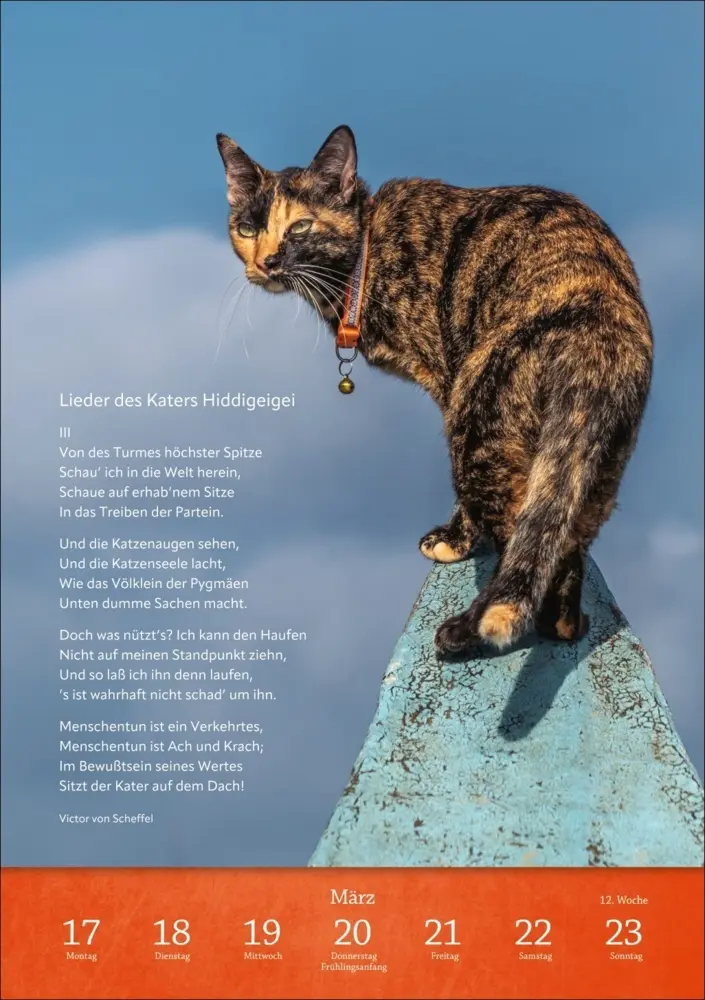 Bild: 9783840034275 | Literaturkalender Katzen Wochen-Kulturkalender 2025 | Kalender | 2025