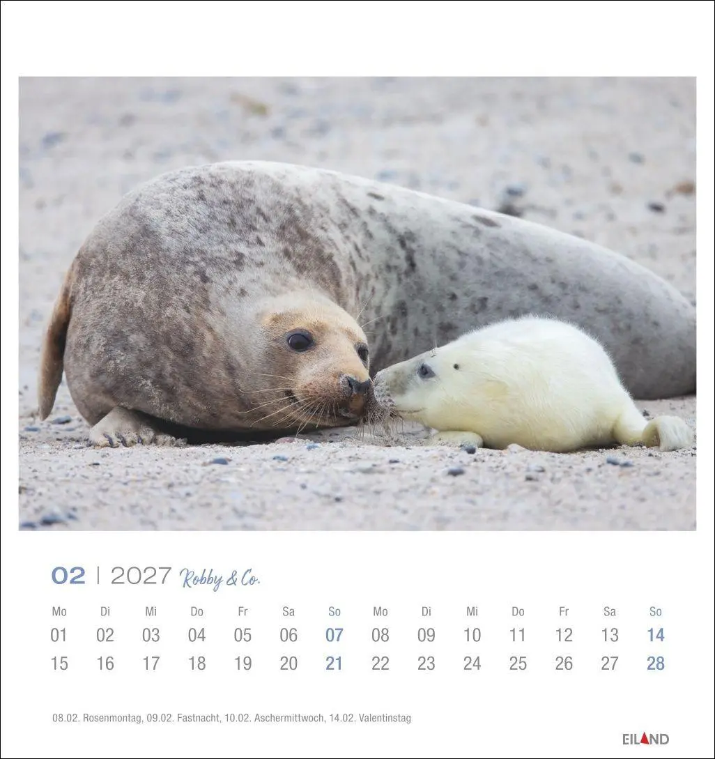 Bild: 9783964024275 | Robby &amp; Co. Postkartenkalender 2027 | Kalender | Spiralbindung | 13 S.