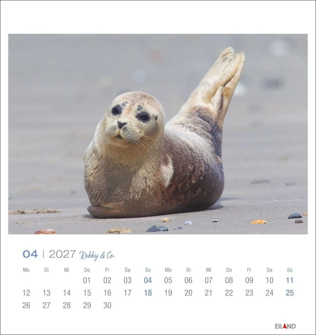 Bild: 9783964024275 | Robby &amp; Co. Postkartenkalender 2027 | Kalender | Spiralbindung | 13 S.