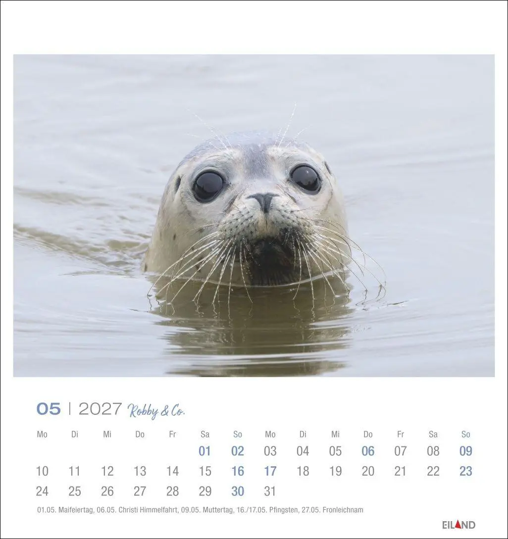 Bild: 9783964024275 | Robby &amp; Co. Postkartenkalender 2027 | Kalender | Spiralbindung | 13 S.