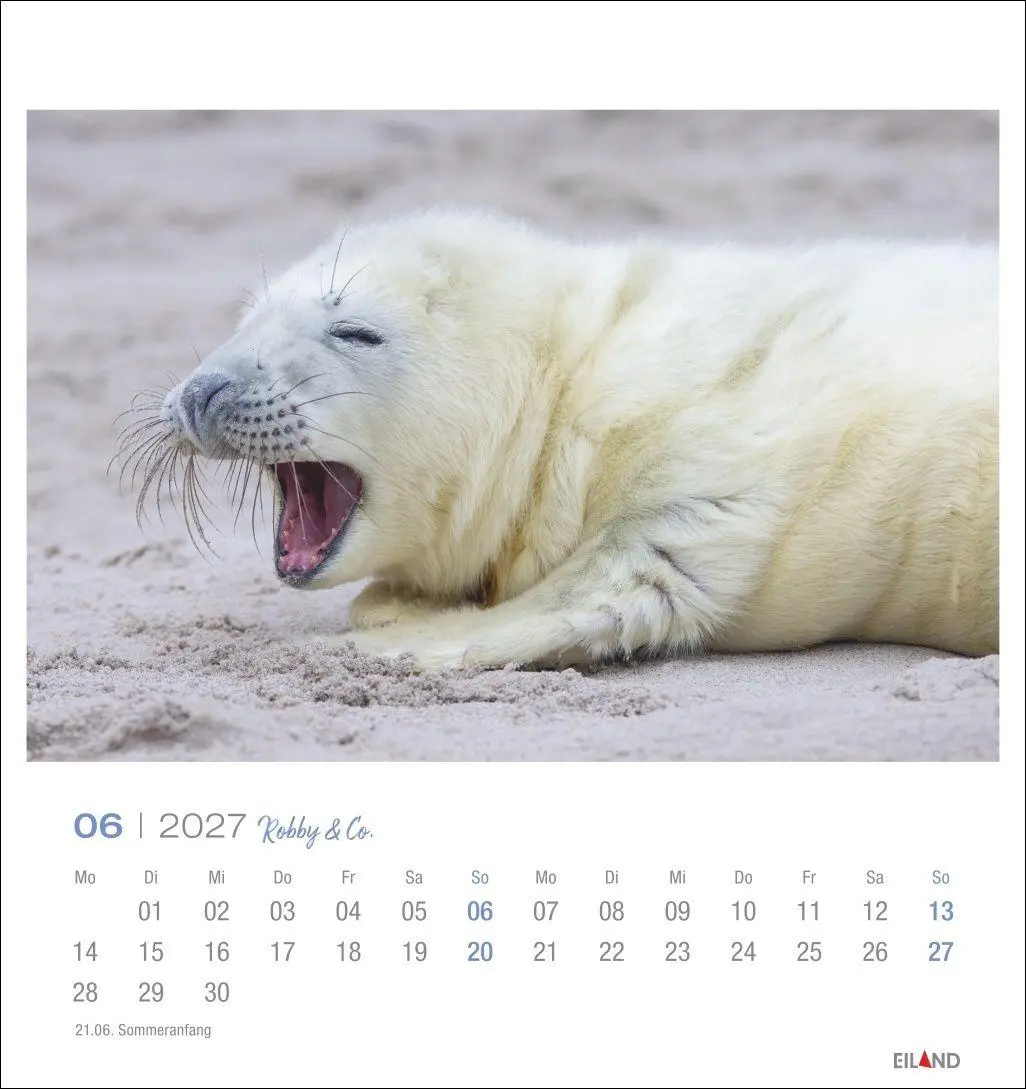 Bild: 9783964024275 | Robby &amp; Co. Postkartenkalender 2027 | Kalender | Spiralbindung | 13 S.