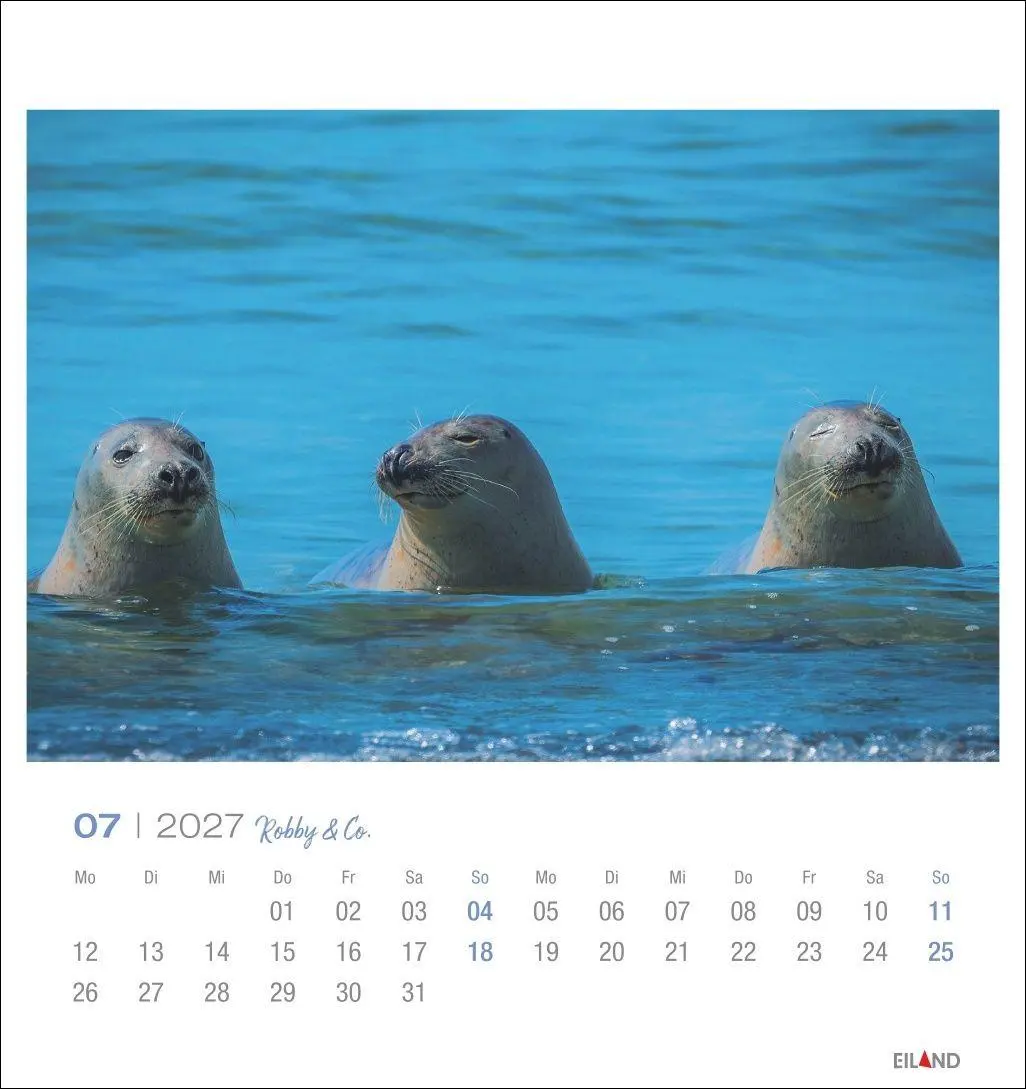 Bild: 9783964024275 | Robby &amp; Co. Postkartenkalender 2027 | Kalender | Spiralbindung | 13 S.