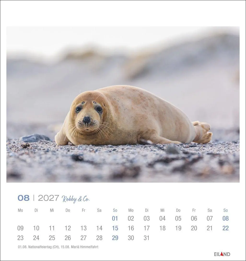 Bild: 9783964024275 | Robby &amp; Co. Postkartenkalender 2027 | Kalender | Spiralbindung | 13 S.