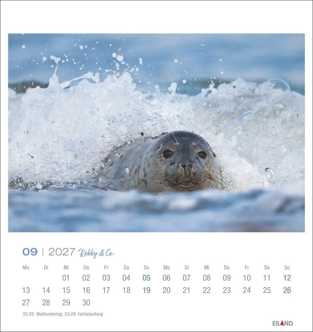 Bild: 9783964024275 | Robby &amp; Co. Postkartenkalender 2027 | Kalender | Spiralbindung | 13 S.