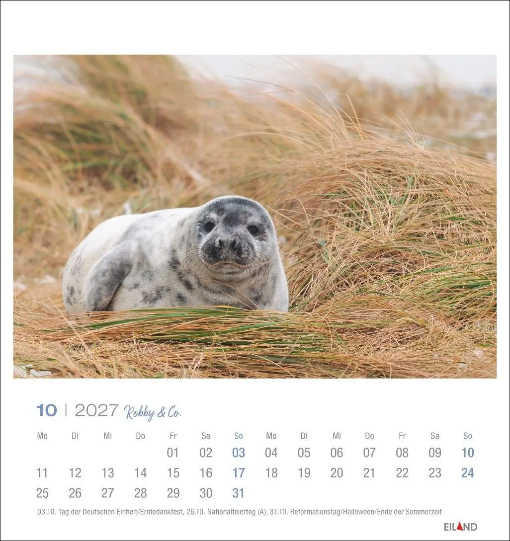 Bild: 9783964024275 | Robby &amp; Co. Postkartenkalender 2027 | Kalender | Spiralbindung | 13 S.