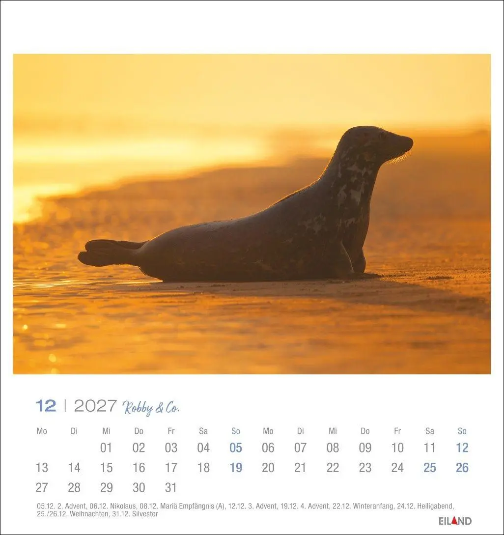 Bild: 9783964024275 | Robby &amp; Co. Postkartenkalender 2027 | Kalender | Spiralbindung | 13 S.