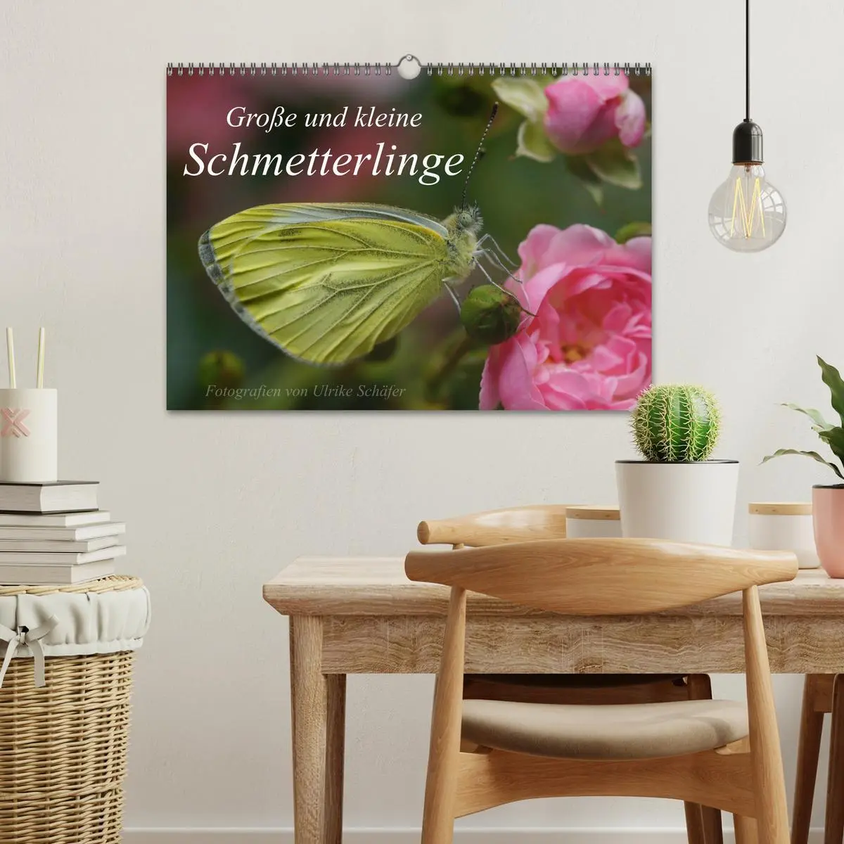 Bild: 9783516084375 | Große und kleine Schmetterlinge (Wandkalender 2026 DIN A3 quer),...