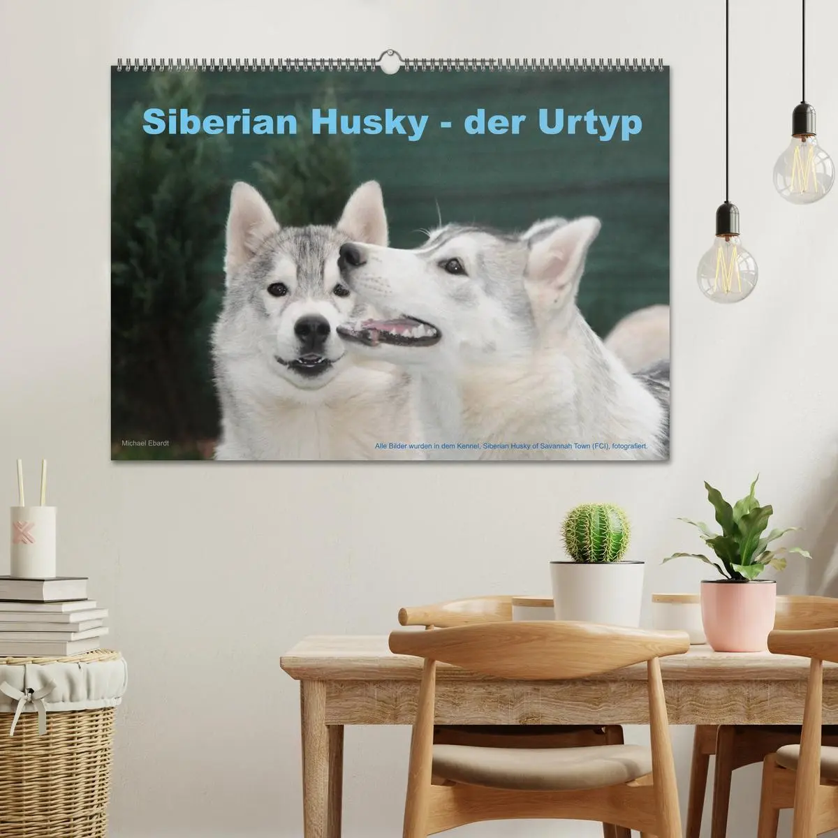 Bild: 9783516154375 | Siberian Husky - der Urtyp (Wandkalender 2026 DIN A2 quer),...
