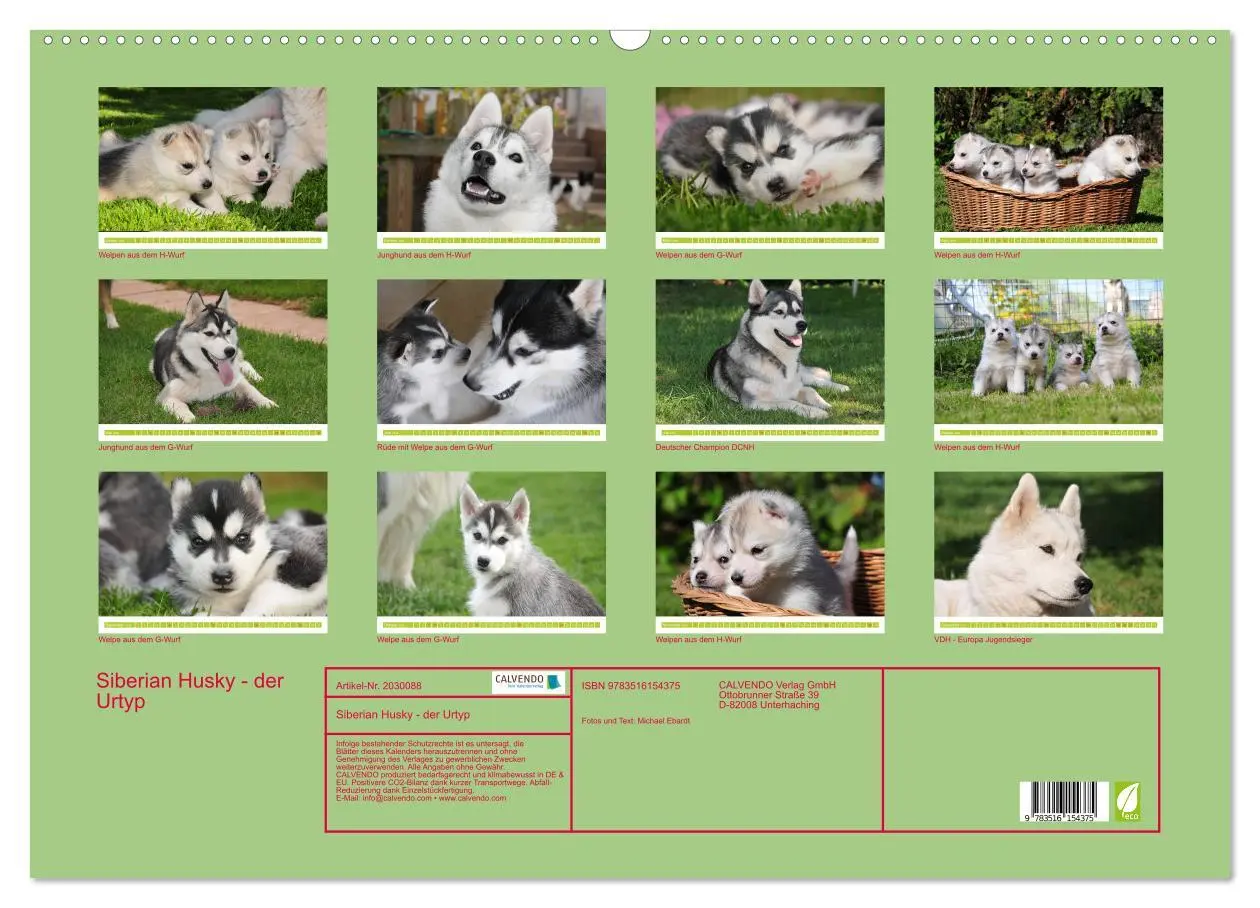 Bild: 9783516154375 | Siberian Husky - der Urtyp (Wandkalender 2026 DIN A2 quer),...