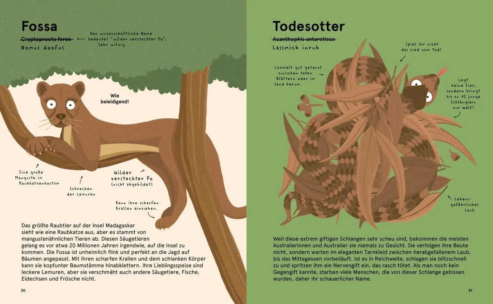 Bild: 9783551254375 | Das Lexikon gruseliger Tiere | Philip Bunting | Buch | 80 S. | Deutsch