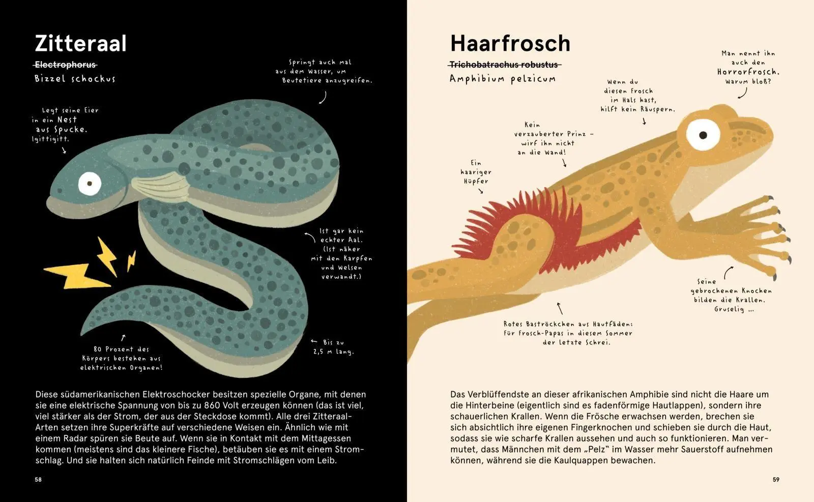 Bild: 9783551254375 | Das Lexikon gruseliger Tiere | Philip Bunting | Buch | 80 S. | Deutsch