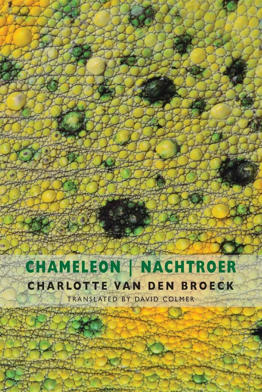 Cover: 9781780374475 | Chameleon / Nachtroer | Charlotte van den Broeck | Taschenbuch | 2020