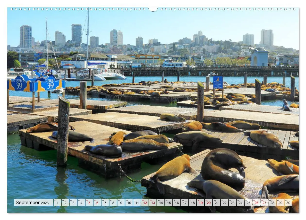 Bild: 9783457674475 | San Francisco - City on the Bay (Wandkalender 2026 DIN A2 quer),...