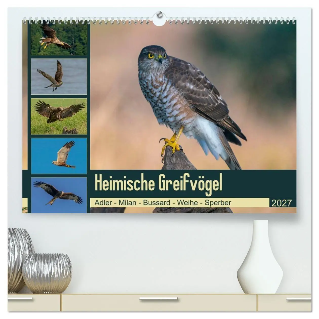 Cover: 9783569544475 | Heimische GREIFVÖGEL Adler Milan Bussard Weihe Sperber...