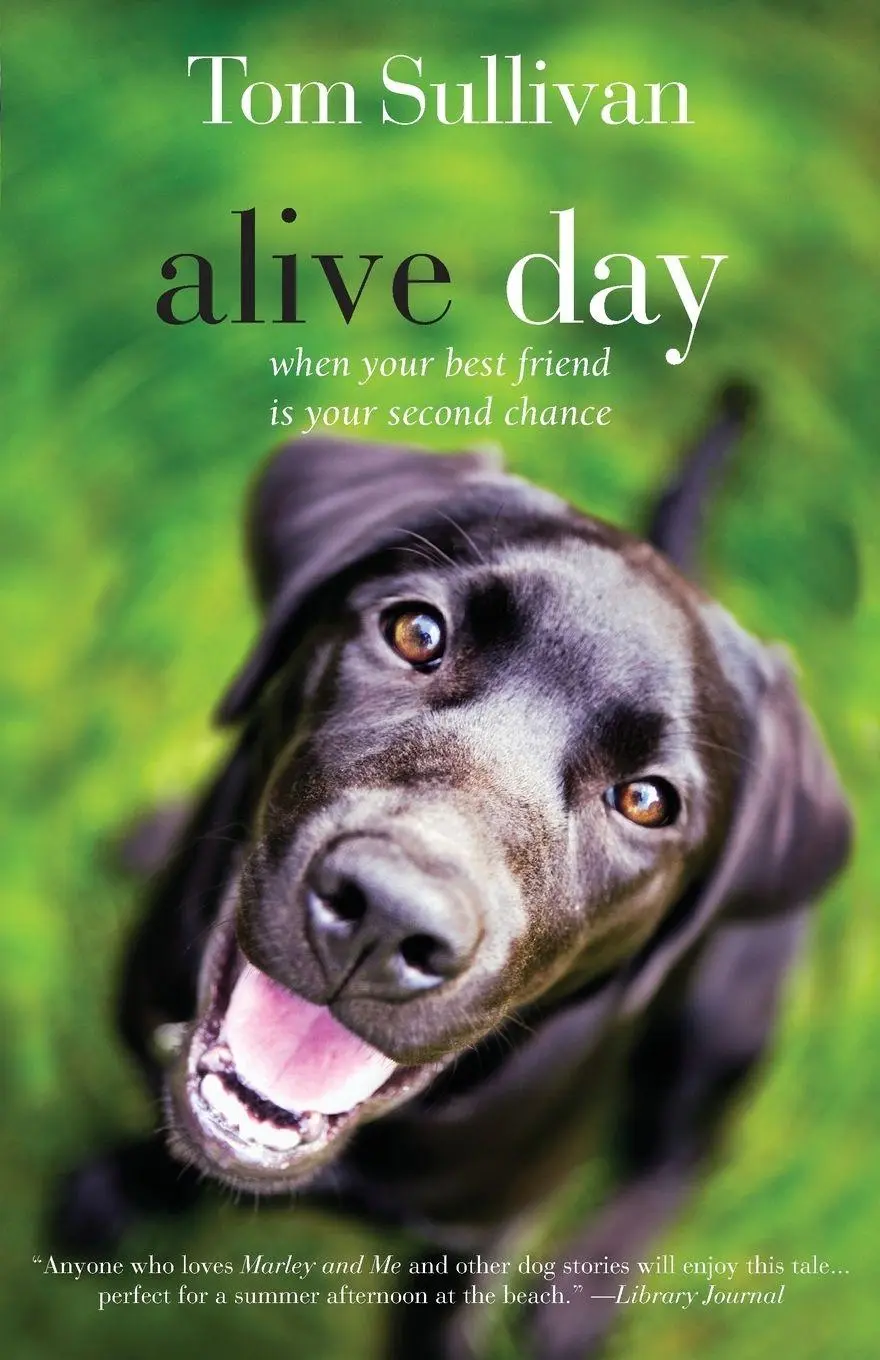Cover: 9781595544575 | A Alive Day | A Story of Love and Loyalty | Tom Sullivan | Taschenbuch
