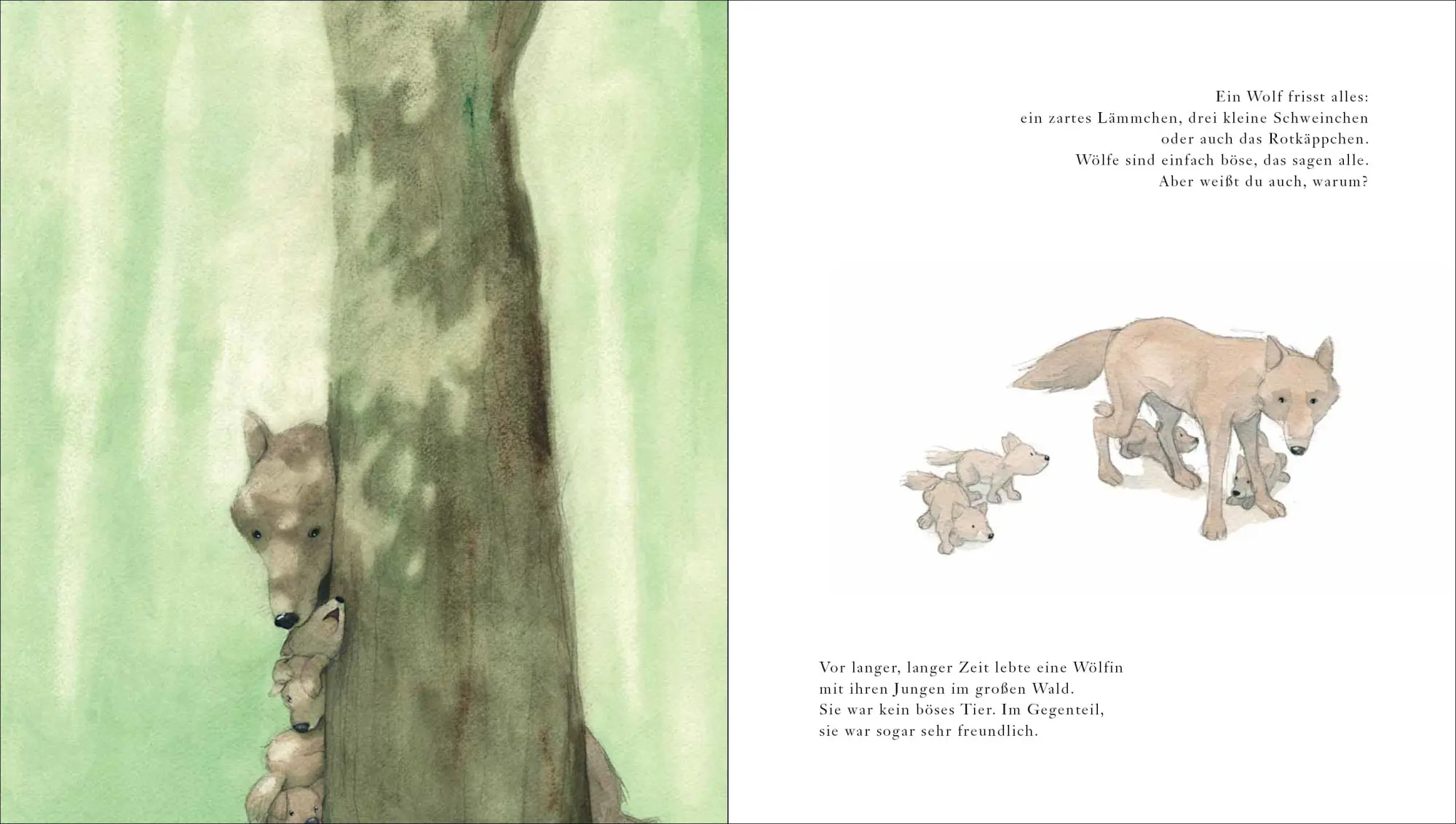 Bild: 9783423764575 | Habt ihr schon vom Wolf gehört? | Quentin Gréban | Buch | 32 S. | 2023