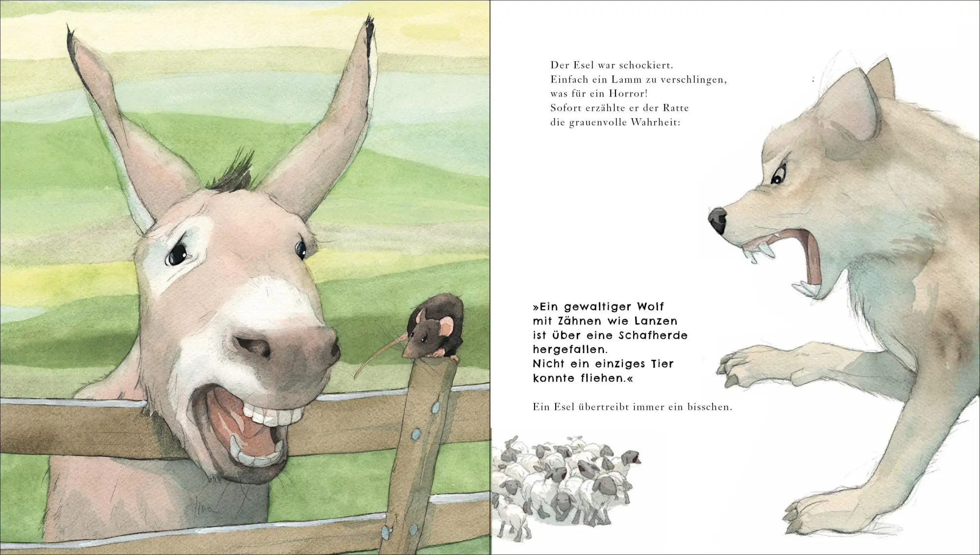 Bild: 9783423764575 | Habt ihr schon vom Wolf gehört? | Quentin Gréban | Buch | 32 S. | 2023