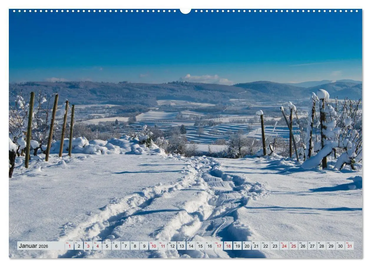 Bild: 9783457734575 | Weinregion Kaiserstuhl (hochwertiger Premium Wandkalender 2026 DIN...