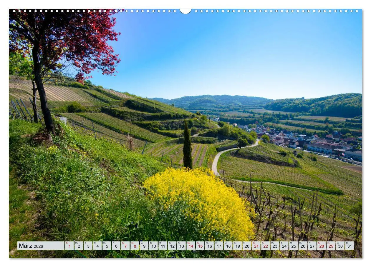 Bild: 9783457734575 | Weinregion Kaiserstuhl (hochwertiger Premium Wandkalender 2026 DIN...