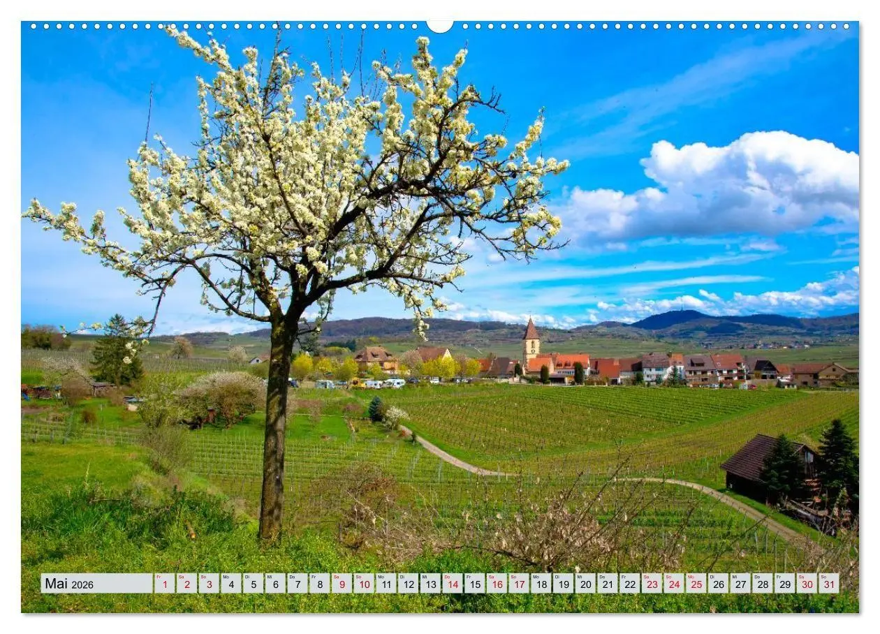 Bild: 9783457734575 | Weinregion Kaiserstuhl (hochwertiger Premium Wandkalender 2026 DIN...