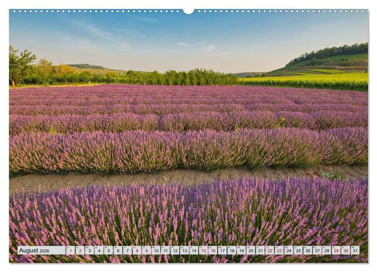 Bild: 9783457734575 | Weinregion Kaiserstuhl (hochwertiger Premium Wandkalender 2026 DIN...