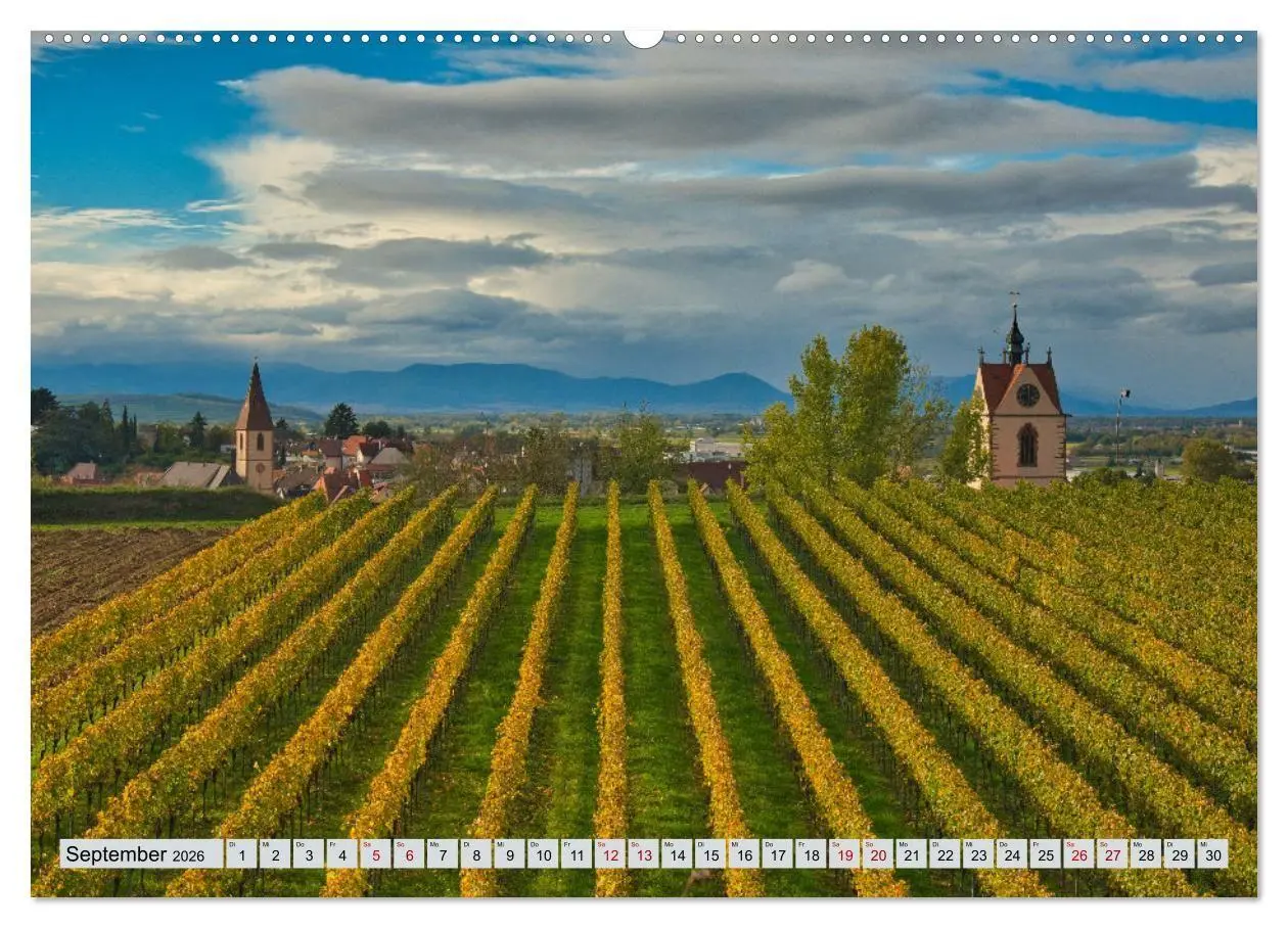 Bild: 9783457734575 | Weinregion Kaiserstuhl (hochwertiger Premium Wandkalender 2026 DIN...
