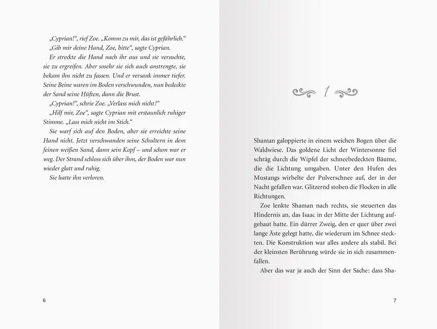 Bild: 9783473404575 | Pferdeflüsterer-Academy, Band 8: Zoes größter Sieg | Gina Mayer | Buch