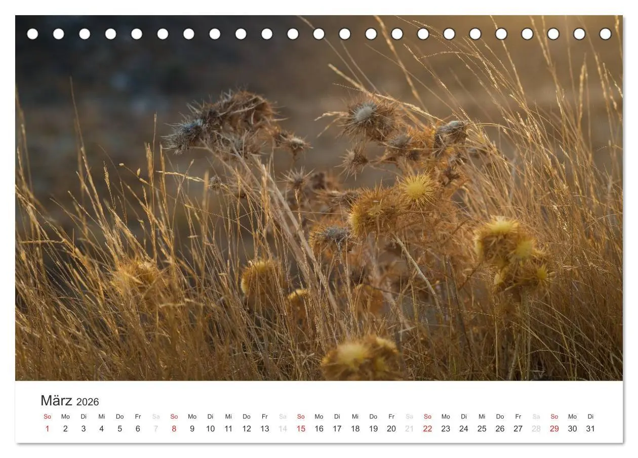 Bild: 9783516204575 | Kreta. Im Süden (Tischkalender 2026 DIN A5 quer), CALVENDO...