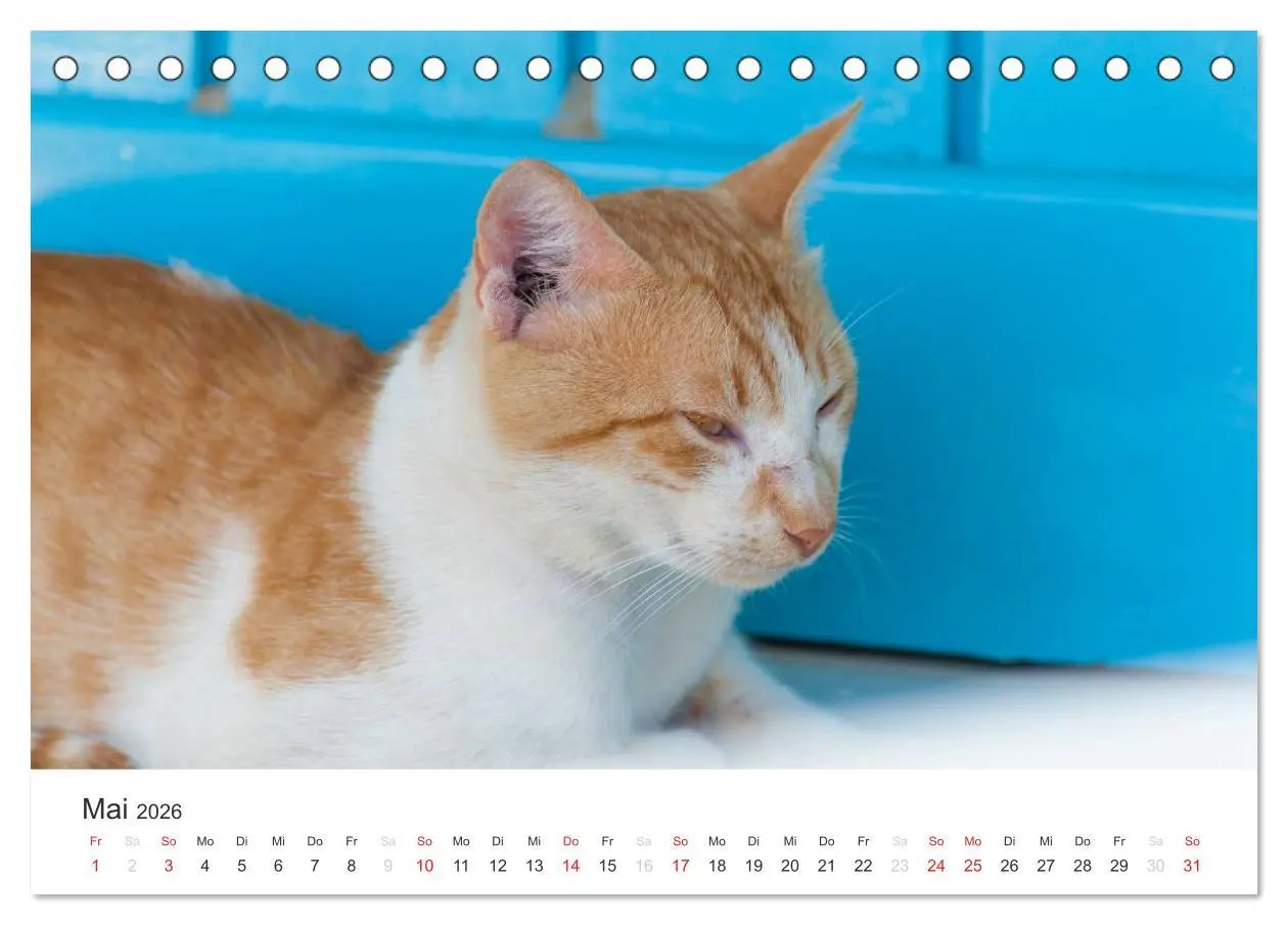 Bild: 9783516204575 | Kreta. Im Süden (Tischkalender 2026 DIN A5 quer), CALVENDO...