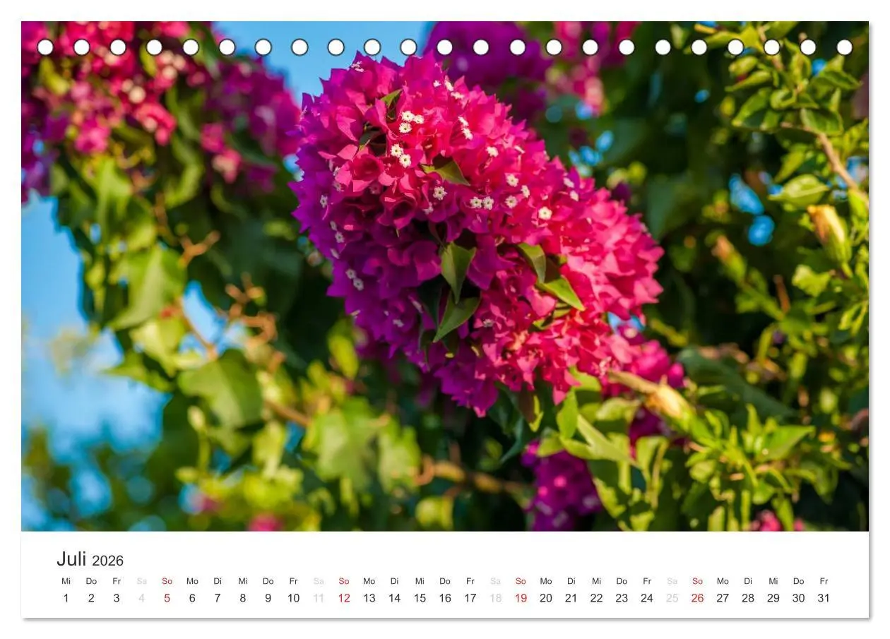 Bild: 9783516204575 | Kreta. Im Süden (Tischkalender 2026 DIN A5 quer), CALVENDO...