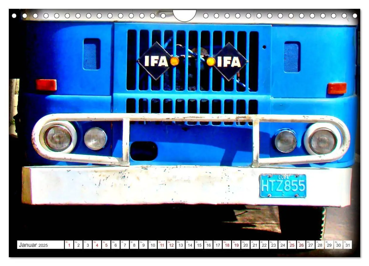 Bild: 9783383854675 | BEST OF IFA (Wandkalender 2025 DIN A4 quer), CALVENDO Monatskalender