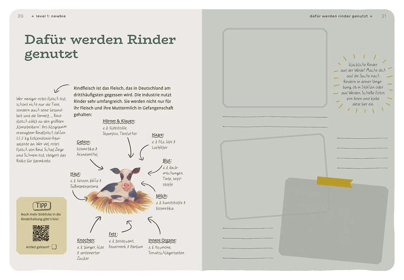 Bild: 9783818624675 | Dein Projekt. Dein Guide. Vegan leben | from zero to hero | Schneider