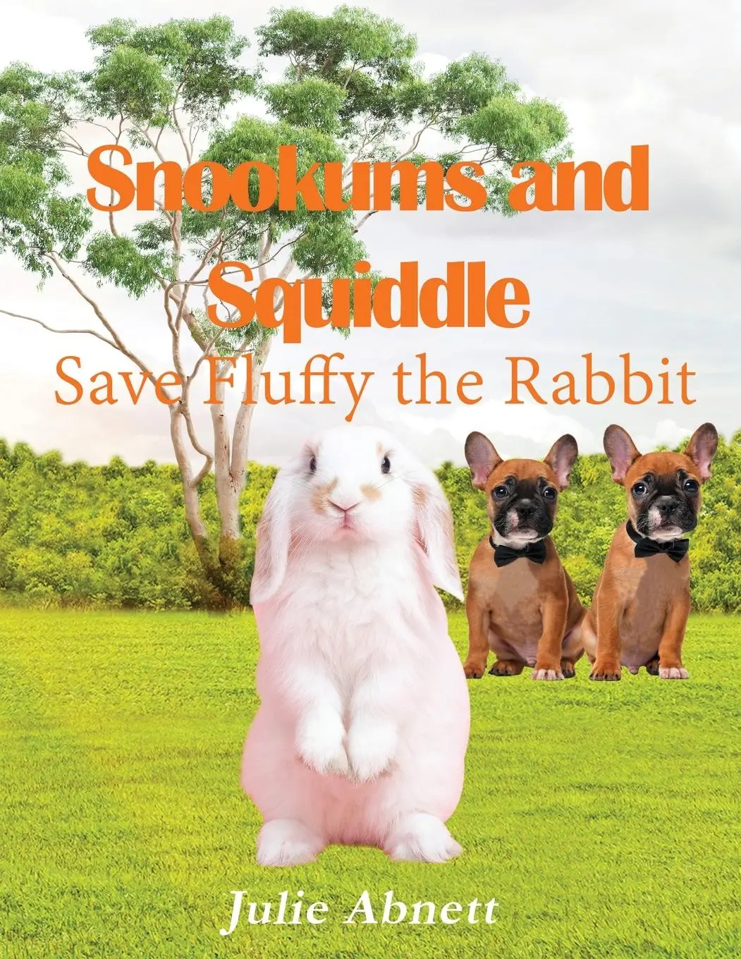 Cover: 9781957724775 | Snookums and Squiddle | Save Fluffy the Rabbit | Julie Abnett | Buch