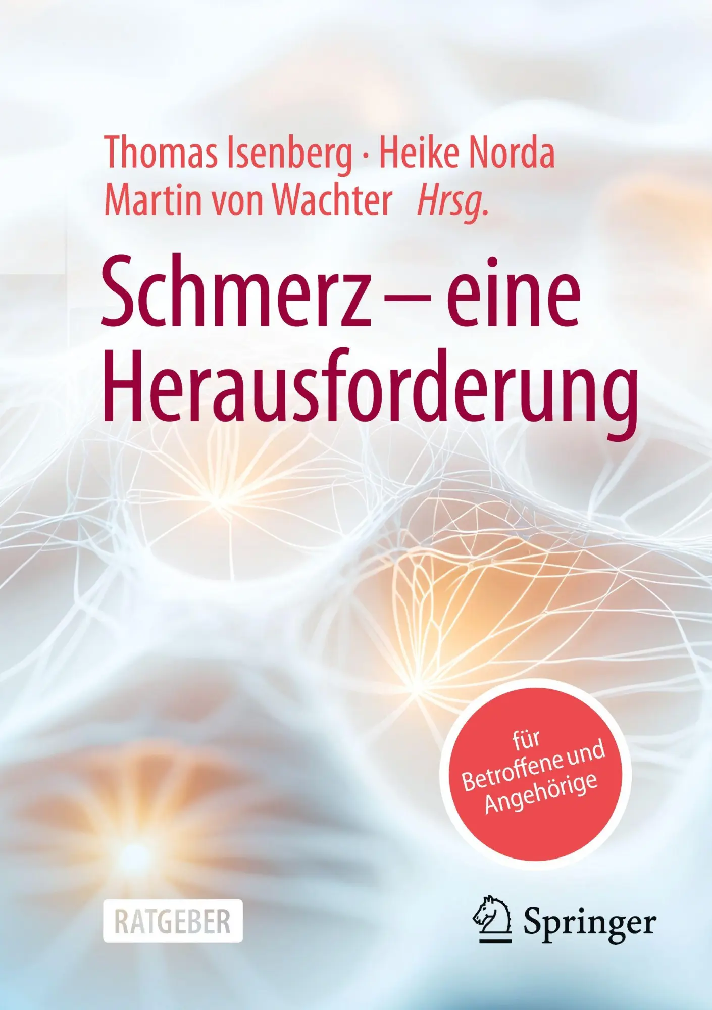 Cover: 9783662714775 | Schmerz - eine Herausforderung | Thomas Isenberg (u. a.) | Taschenbuch