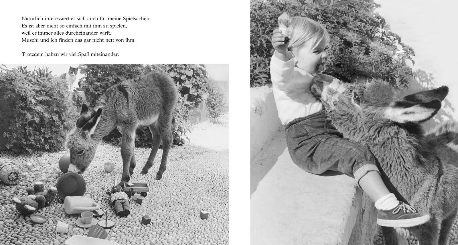 Bild: 9783737364775 | Mein Esel Benjamin | Hans Limmer | Buch | 48 S. | Deutsch | 1990