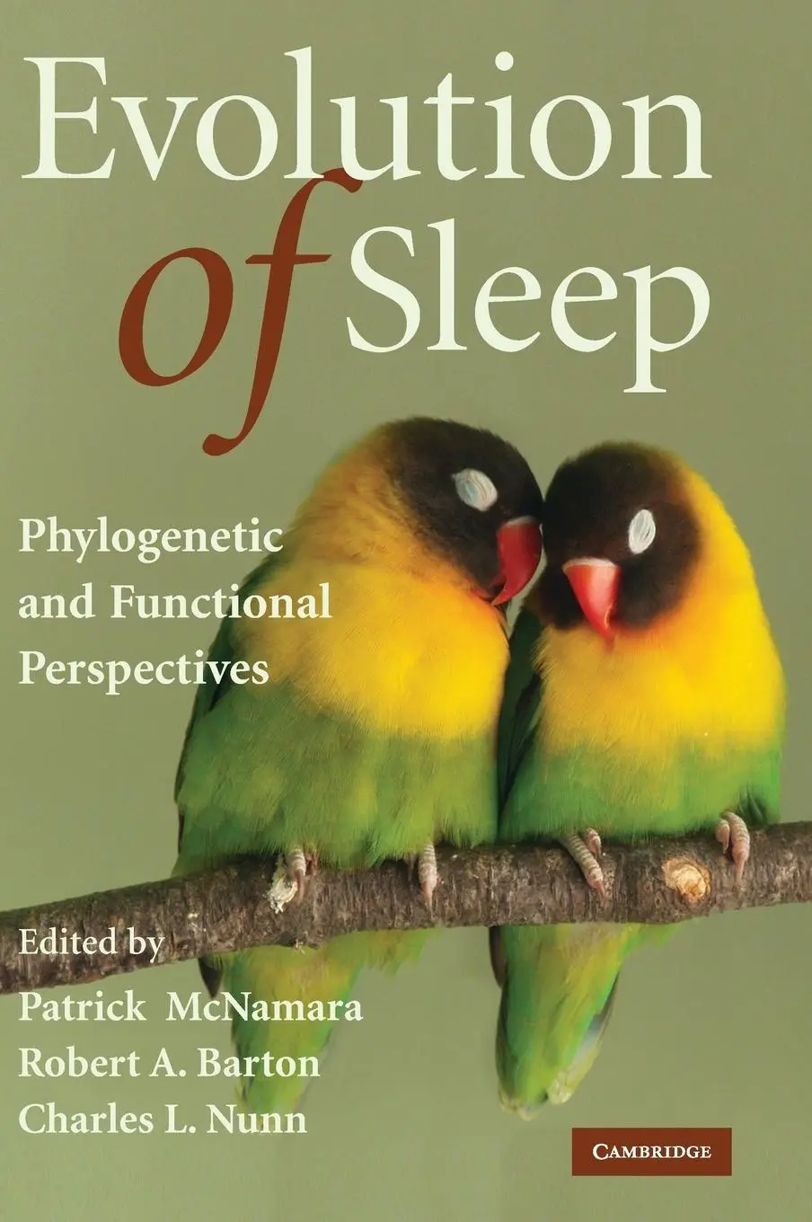 Cover: 9780521894975 | Evolution of Sleep | Patrick Mcnamara (u. a.) | Buch | Englisch | 2009