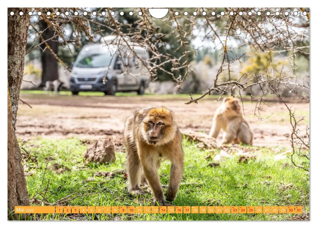 Bild: 9783457314975 | MAROKKO per WOHNMOBIL (Wandkalender 2026 DIN A4 quer), CALVENDO...