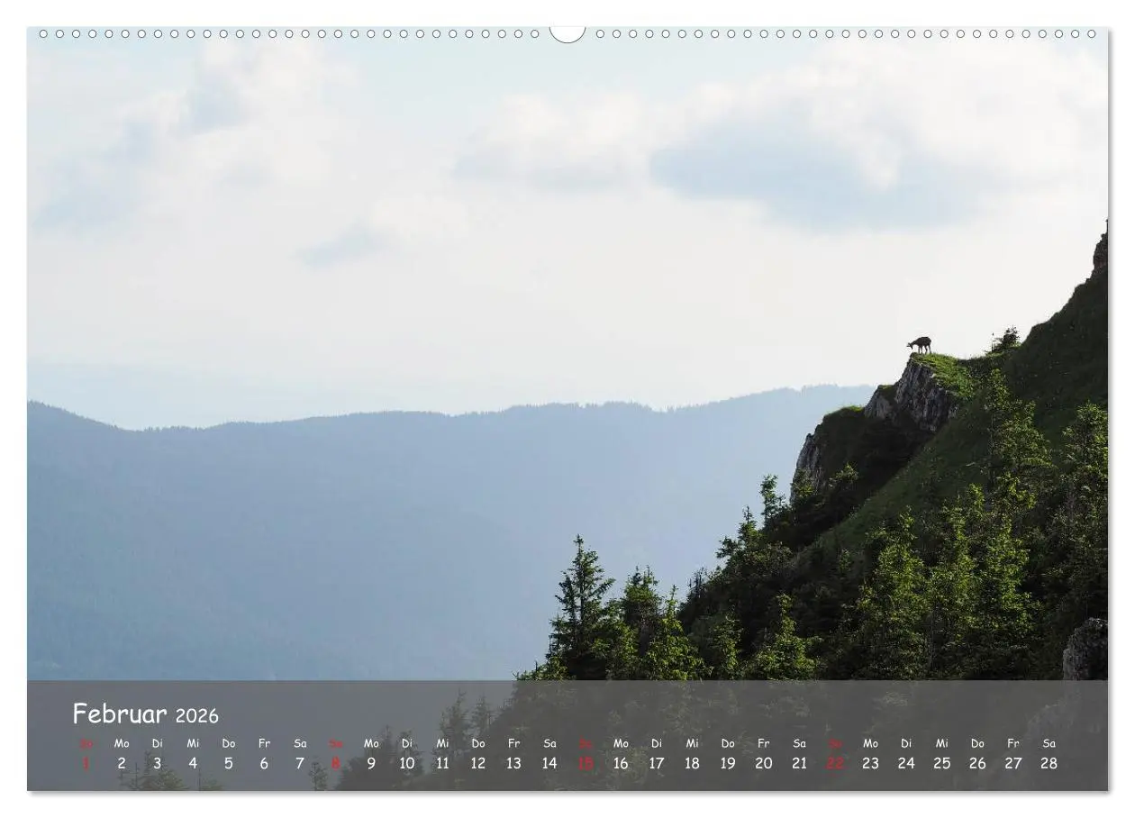 Bild: 9783457794975 | Ammergauer Alpen (hochwertiger Premium Wandkalender 2026 DIN A2...
