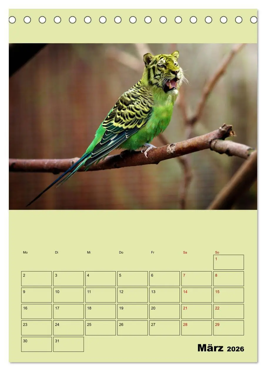 Bild: 9783516404975 | Seltsame Tiere - da stimmt doch was nicht... (Tischkalender 2026...